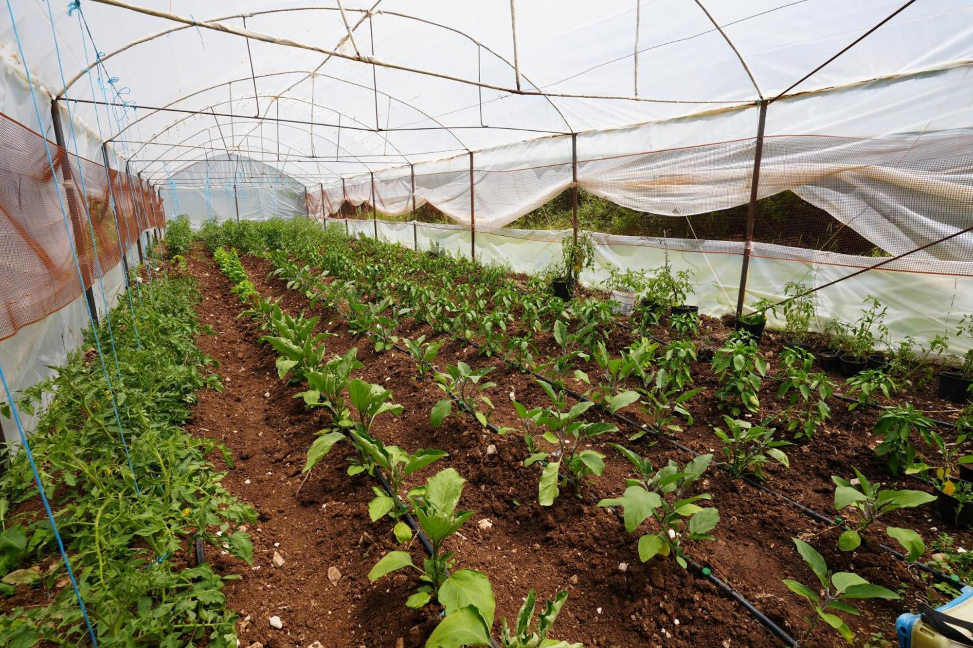 Agroturizem Dr Bizhga Hotel Gusmar