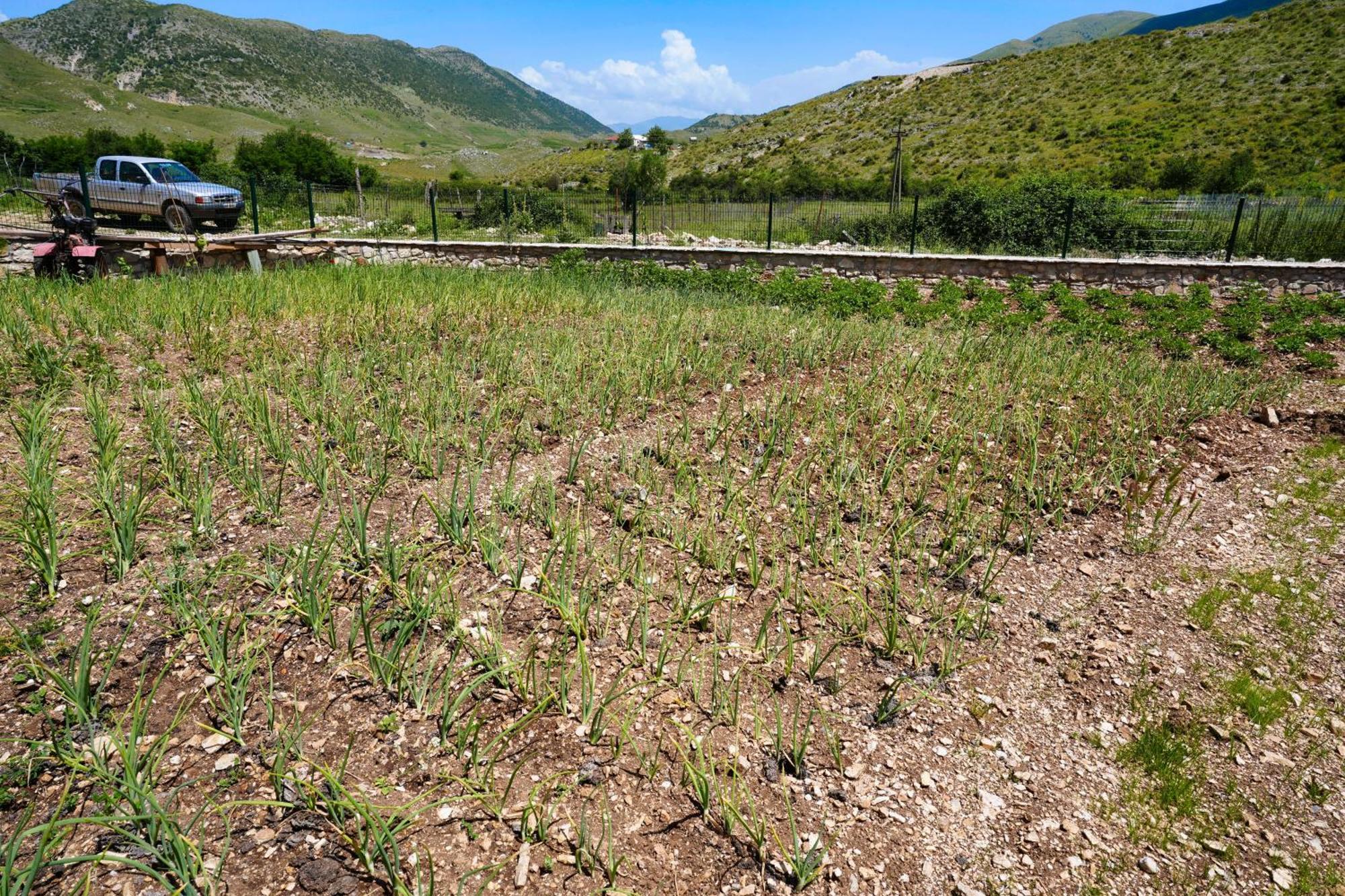 Agroturizem Dr Bizhga 5*