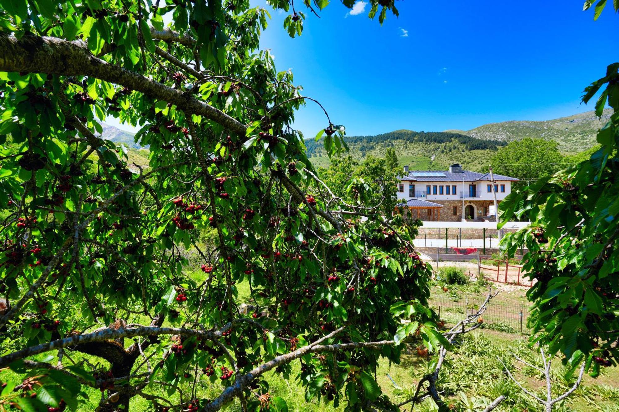 Agroturizem Dr Bizhga