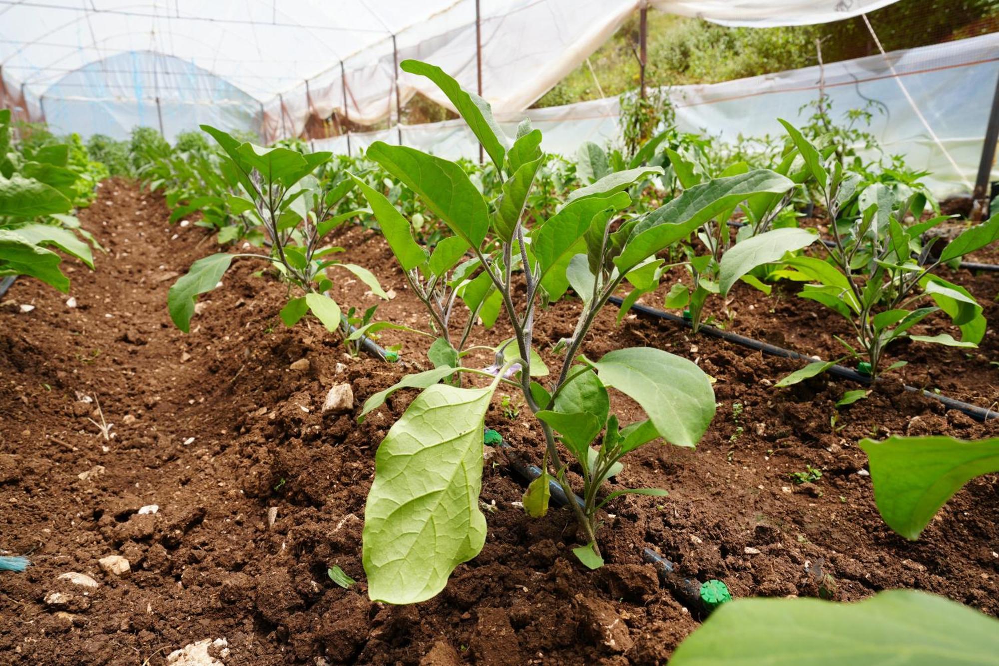 Hotel Agroturizem Dr Bizhga Gusmar